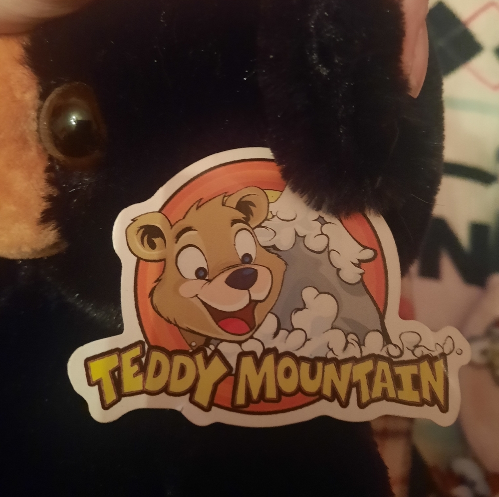 Black teddy bear - Picture 5 of 6